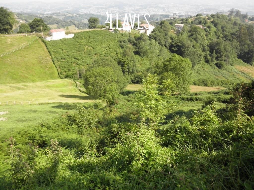 Terreno en Canales 2, Bimenes - Imagen 4