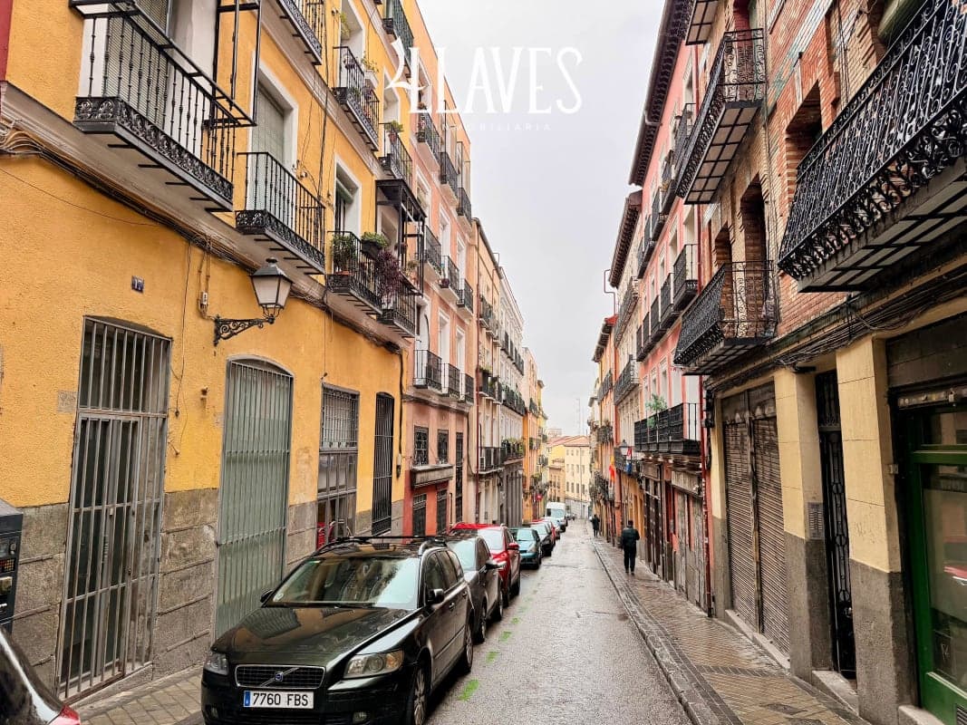 Acogedor Piso en Calle Del Salitre - Lavapiés - Imagen 1